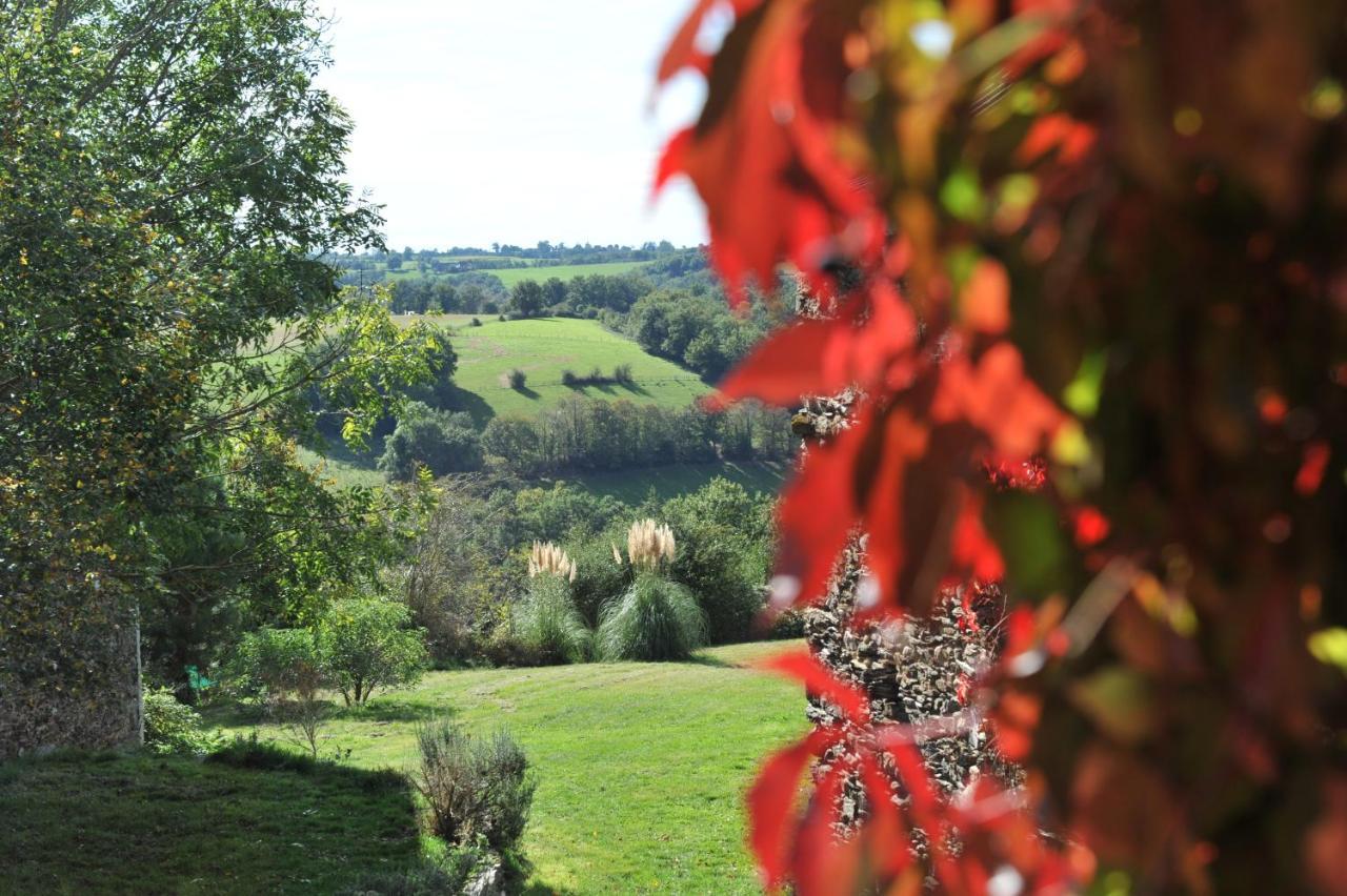 Chambres D'Hotes Le Puits D'Amour Mirandol-Bourgnounac Luaran gambar
